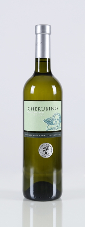 Merlot bianco Cherubino 