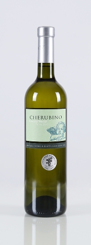 Merlot Bianco Cherubino 